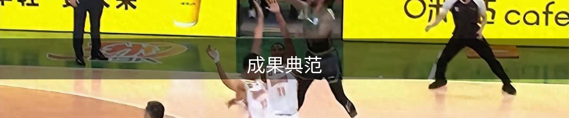 成果典范